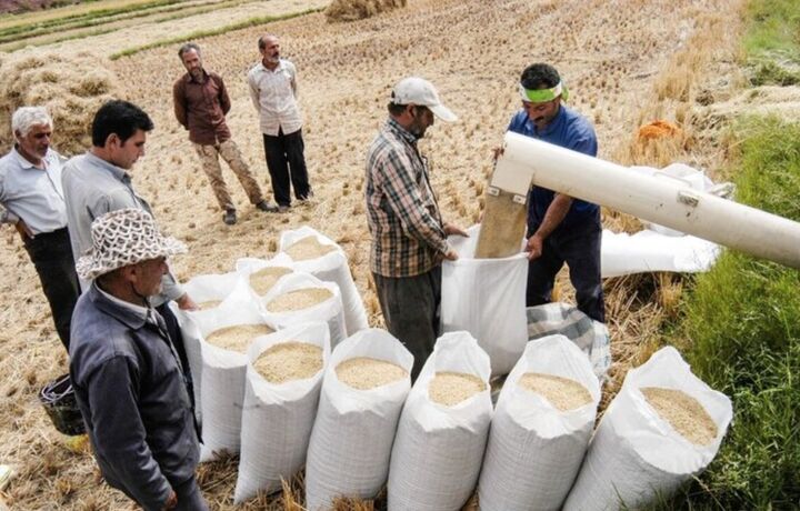 اندازه بازار جهانی ماشین آلات آسیاب برنج تا ۲۰۳۰ | ماشین آلات دست دوم؛ مانع گسترش بازار اندازه بازار جهانی ماشین آلات آسیاب برنج تا ۲۰۳۰ | ماشین آلات دست دوم؛ مانع گسترش بازار