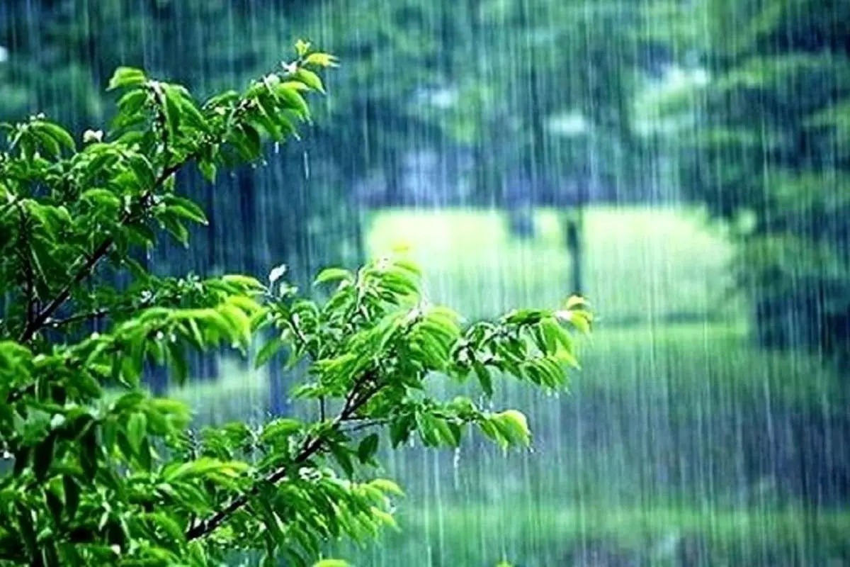 بارندگیهای اخیر مشکل کم آبی تهران را حل کرد؟ / آخرین وضعیت تنش آبی پایتخت بارندگیهای اخیر مشکل کم آبی تهران را حل کرد؟ / آخرین وضعیت تنش آبی پایتخت