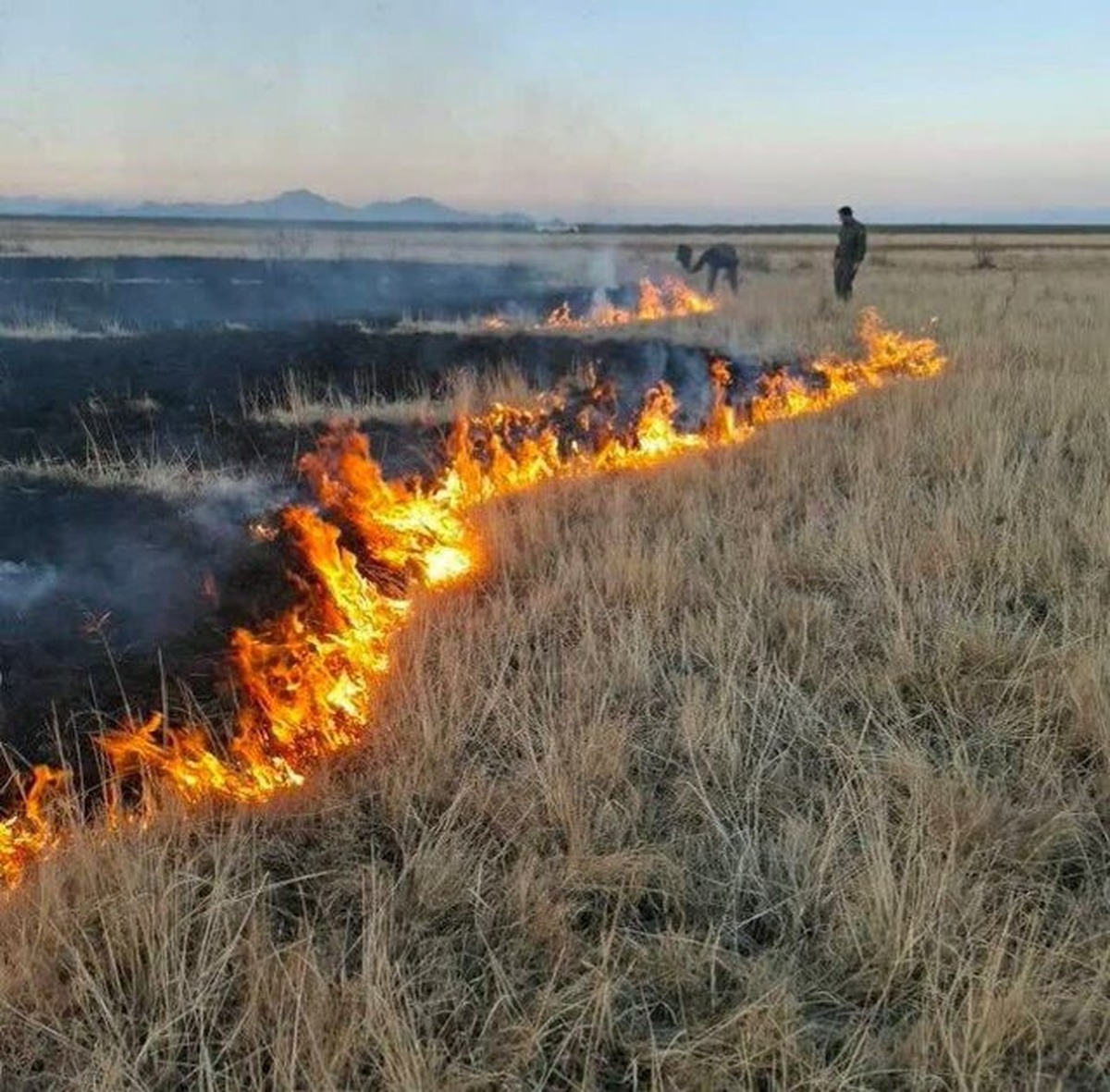 جزئیات مهار آتشسوزی در پارک ملی دریاچه ارومیه جزئیات مهار آتشسوزی در پارک ملی دریاچه ارومیه