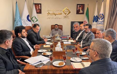 هلدینگ شستا به قلب فناوری تایرسازی رسید هلدینگ شستا به قلب فناوری تایرسازی رسید