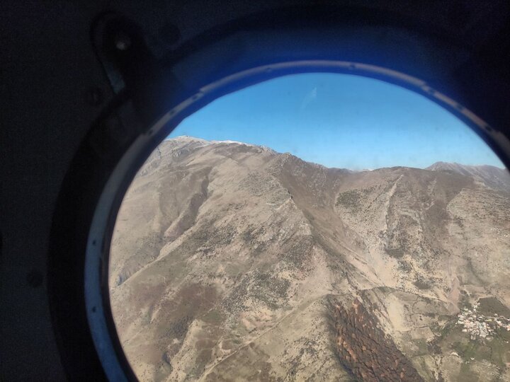 ۲ هواپیمای ایلوشین به مقصد جنگل الیت پرواز کردند ۲ هواپیمای ایلوشین به مقصد جنگل الیت پرواز کردند