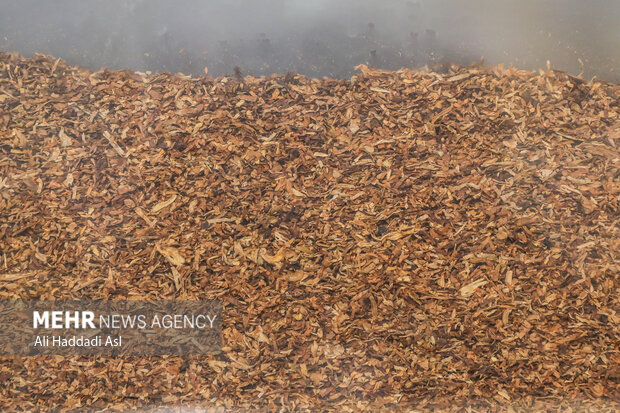 ۲۷ درصد بازار سیگار و ۹۳ درصد بازار تنباکو در اختیار قاچاقچیان است ۲۷ درصد بازار سیگار و ۹۳ درصد بازار تنباکو در اختیار قاچاقچیان است