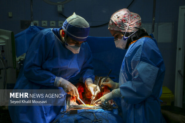 مرگی که به زندگی ختم میشود! مرگی که به زندگی ختم میشود!