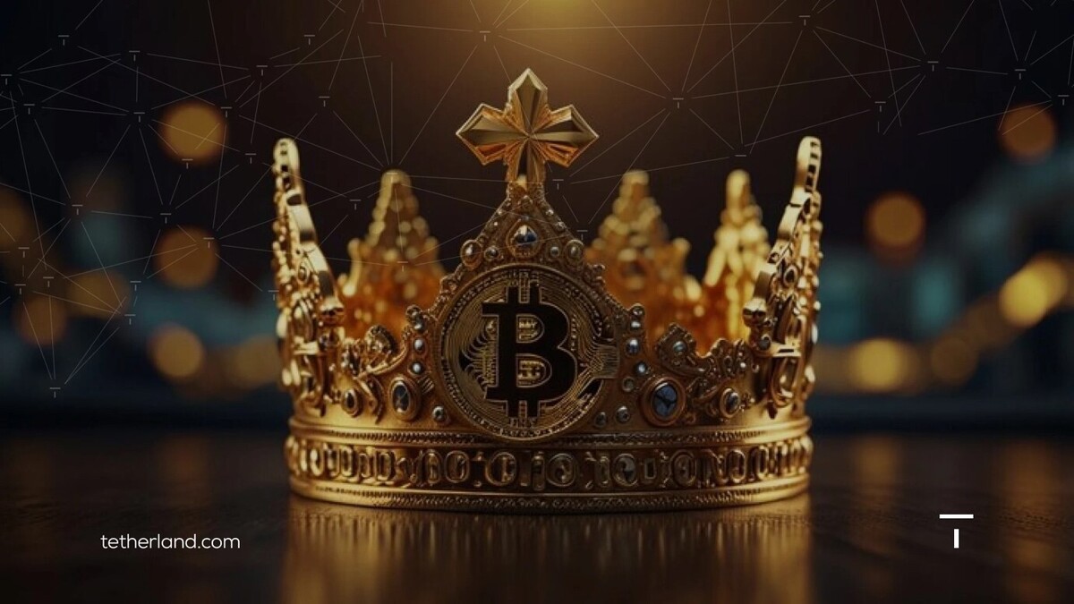 چه عواملی باعث نوسان پادشاه رمزارزها می شوند؟ چه عواملی باعث نوسان پادشاه رمزارزها می شوند؟