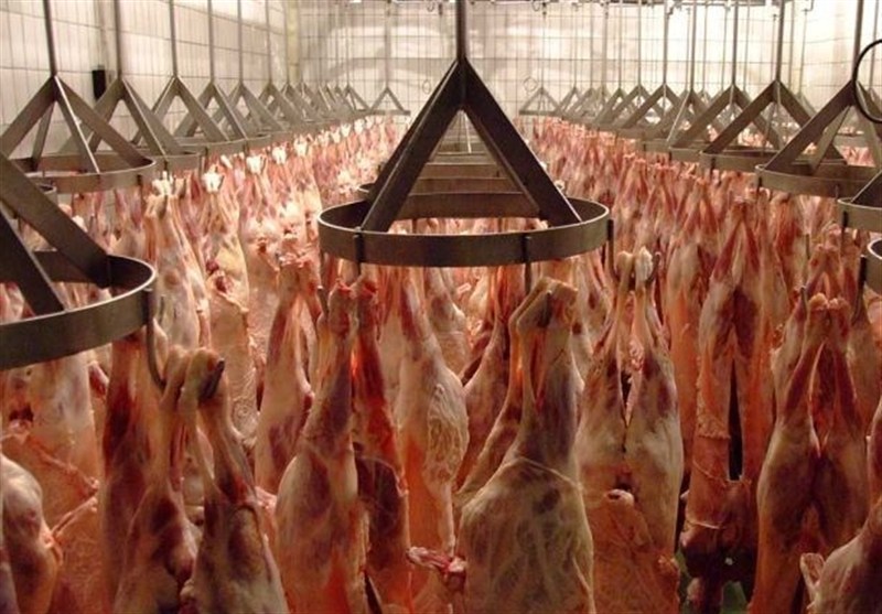 گوشت به وفور موجود است/ نیازی به استفاده از ذخایر استراتژیک نیست گوشت به وفور موجود است/ نیازی به استفاده از ذخایر استراتژیک نیست