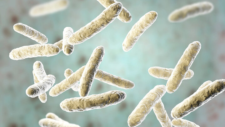 ابداع روشی کمهزینه برای شناسایی باکتریهای مقاوم به آنتی بیوتیک ابداع روشی کمهزینه برای شناسایی باکتریهای مقاوم به آنتی بیوتیک