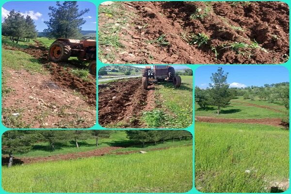 احداث «آتشبر» در عرصههای جنگلی و مرتعی چگنی احداث «آتشبر» در عرصههای جنگلی و مرتعی چگنی