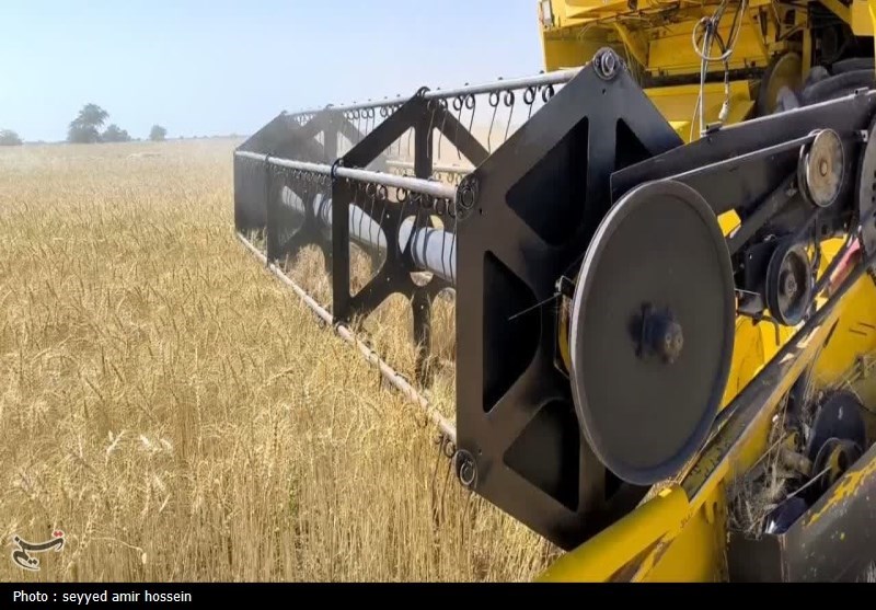 استقبال کشاورزان از نرخ جدید خرید تضمینی گندم استقبال کشاورزان از نرخ جدید خرید تضمینی گندم