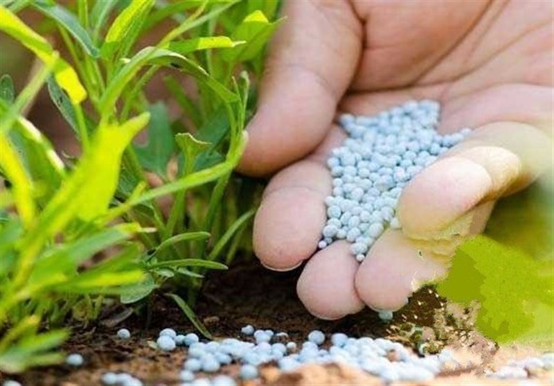 تأثیر تنش درخلیج فارس بر بازارهای جهانی کود شیمیایی و تولید غذا تأثیر تنش درخلیج فارس بر بازارهای جهانی کود شیمیایی و تولید غذا