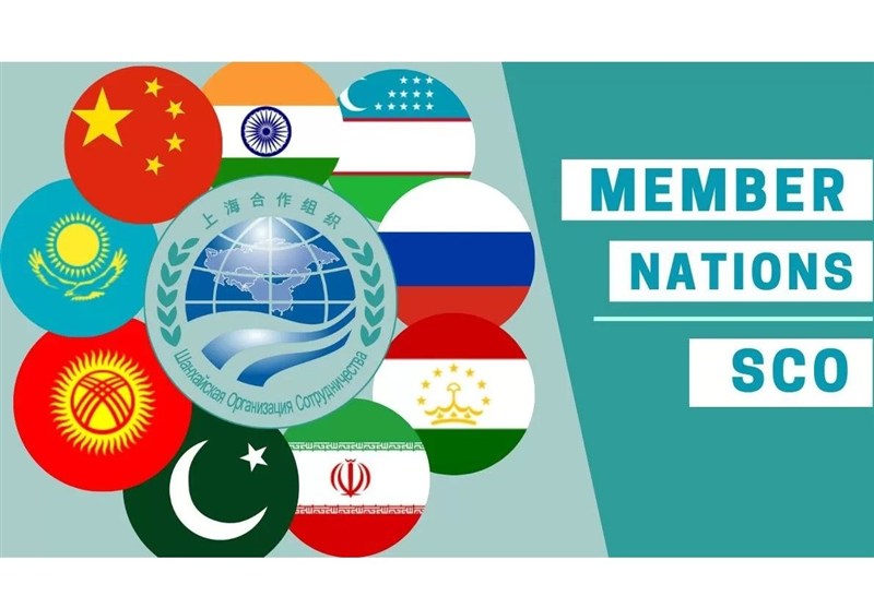 تأکید بر تقویت همکاریهای بهداشت گیاهی در سازمان همکاری شانگهای تأکید بر تقویت همکاریهای بهداشت گیاهی در سازمان همکاری شانگهای