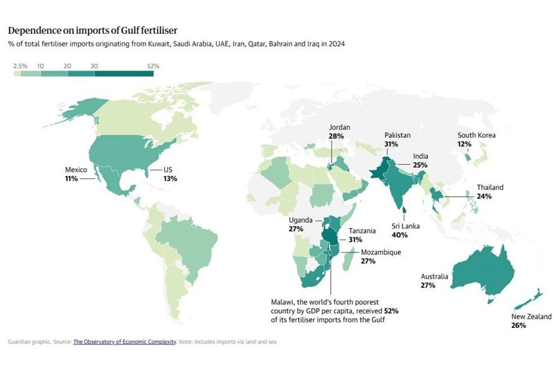 جزئیات وابستگی غذای جهان به تنگه هرمز/ موج قیمتی بر همه تاثیرگذار است جزئیات وابستگی غذای جهان به تنگه هرمز/ موج قیمتی بر همه تاثیرگذار است