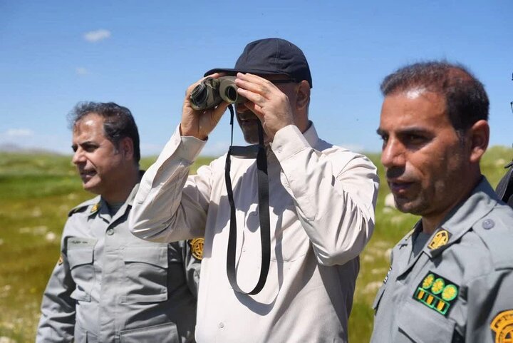 حبیبی: قراویز با حمایت مردم بهشت امن آهوان ایرانی شده است حبیبی: قراویز با حمایت مردم بهشت امن آهوان ایرانی شده است