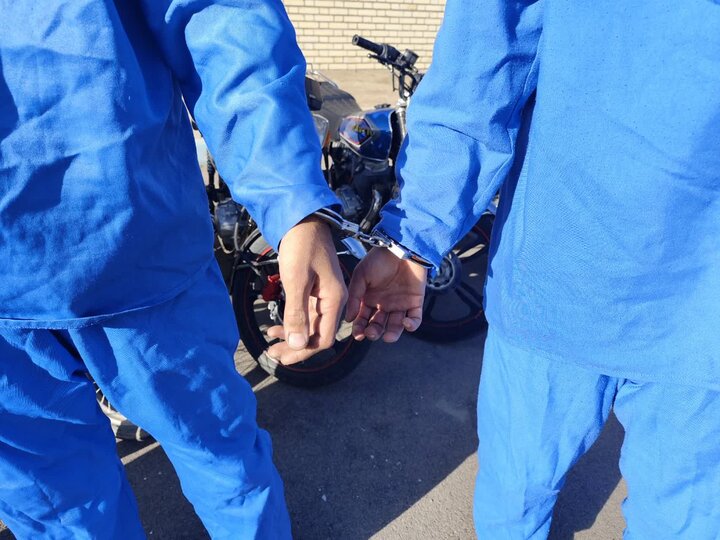 دستگیری ۳۹ سارق در تویسرکان؛ ۷۵ فقره سرقت کشف شد دستگیری ۳۹ سارق در تویسرکان؛ ۷۵ فقره سرقت کشف شد