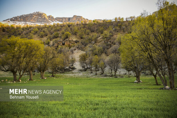هشدار محیط زیست کردستان به طبیعتگردان در فصل زادآوری حیاتوحش هشدار محیط زیست کردستان به طبیعتگردان در فصل زادآوری حیاتوحش