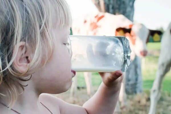 هشدار؛ تب مالت در بهار اوج میگیرد هشدار؛ تب مالت در بهار اوج میگیرد