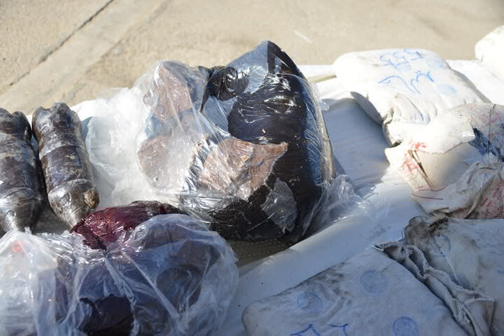 کشف ۲۶۰ کیلوگرم تریاک در عملیات مشترک پلیس هرمزگان کشف ۲۶۰ کیلوگرم تریاک در عملیات مشترک پلیس هرمزگان