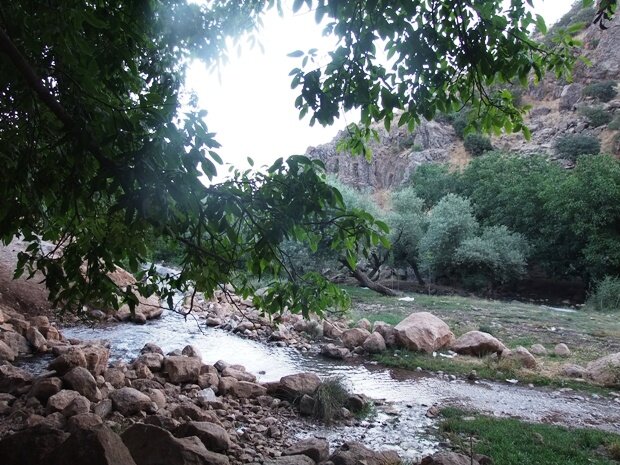 بهشتی در سایه گردوها؛ اینجا درختها تاریخ دارند بهشتی در سایه گردوها؛ اینجا درختها تاریخ دارند