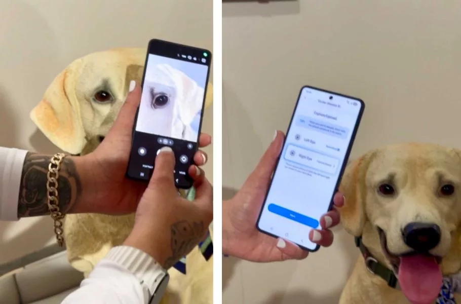 سامسونگ قابلیت Pet Care را معرفی کرد؛ تشخیص بیماری حیوان خانگی با یک عکس سامسونگ قابلیت Pet Care را معرفی کرد؛ تشخیص بیماری حیوان خانگی با یک عکس