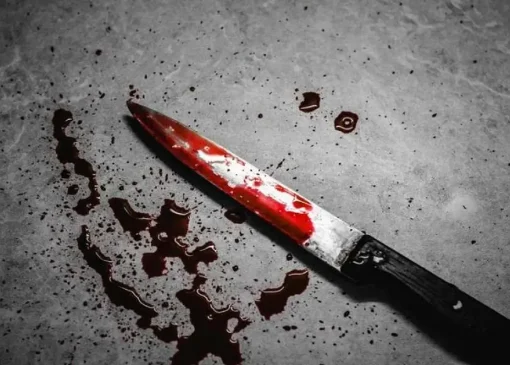 جزئیات جنایت دلخراش خیابان کارگر جنوبی/ قاتل زن و شوهر جوان به دو بار قصاص محکوم شد