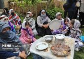 توسعه همکاری‌های گردشگری ایران و کشورهای عضو بریکس