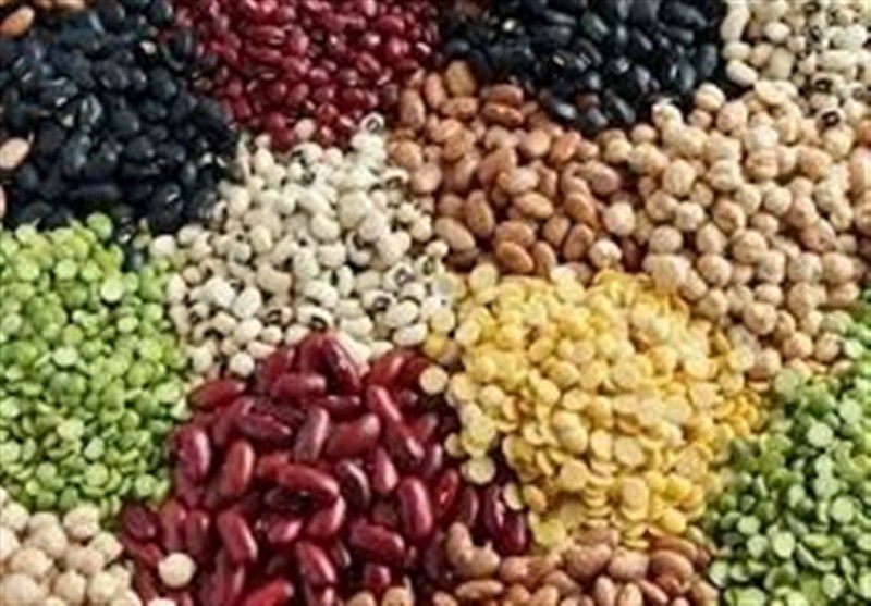 113درصد اختلاف قیمت لوبیا در بازار با وجود تخصیص ارز مبادلهای 113درصد اختلاف قیمت لوبیا در بازار با وجود تخصیص ارز مبادلهای