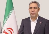 30 تا 50 میلیارد دلار خانگی/تبدیل ارز به ریال در صندوق ارزی ممنوع است