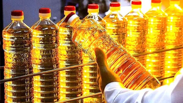 آفتابگردان در بنبست آبراه؛ تنگنای سرخ بر طلای زرد| خزر در مدار طلای روغنی آفتابگردان در بنبست آبراه؛ تنگنای سرخ بر طلای زرد| خزر در مدار طلای روغنی