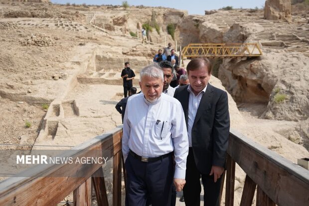 وزیر میراث فرهنگی: شناسنامه تاریخی خلیجفارس در آستانه جهانیشدن است وزیر میراث فرهنگی: شناسنامه تاریخی خلیجفارس در آستانه جهانیشدن است